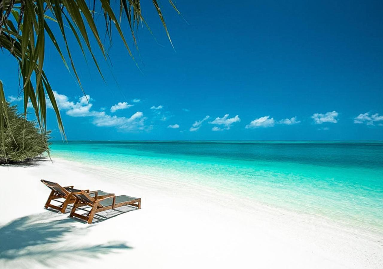 Hotel Tropical Tree Fehendhoo Exterior foto